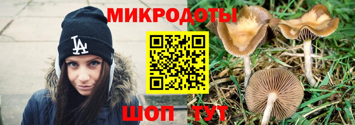Моздок  Галлюциногенные грибы мухоморы  даркнет сайт  Вход с VPN 