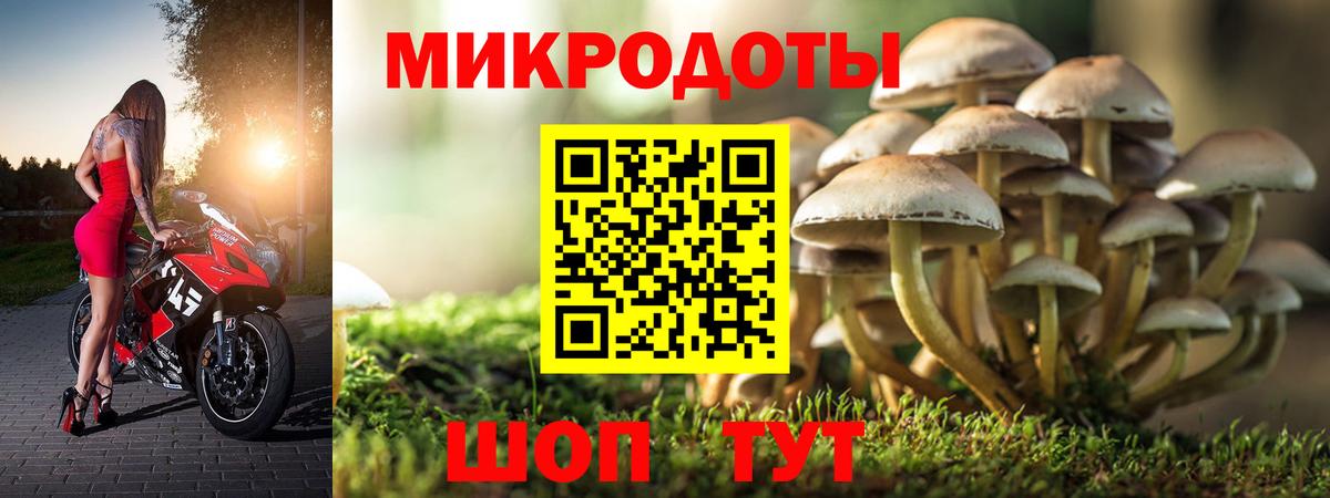 Галлюциногенные грибы GOLDEN TEACHER Моздок